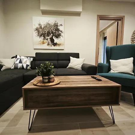 Apartment Sun And Roses