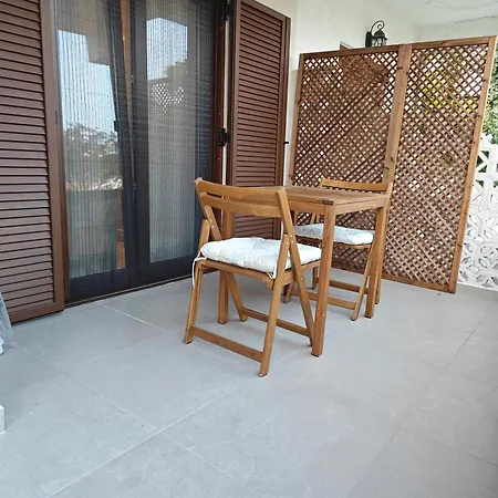 Sun And Roses Siviri