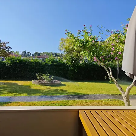 Sun And Roses Siviri