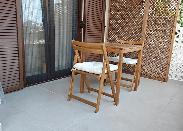 Sun And Roses 希维利