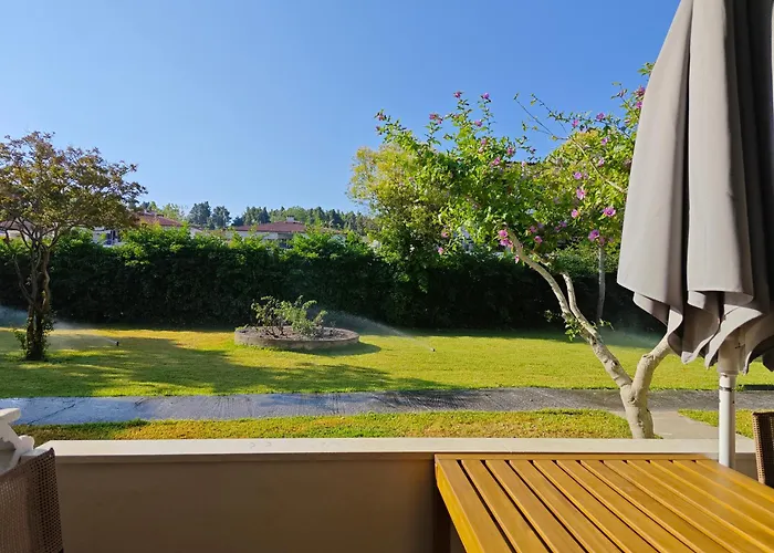 Sun And Roses 希维利